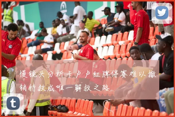 慢镜头分析卡卢卢红牌停赛难以撤销特赦成唯一解救之路