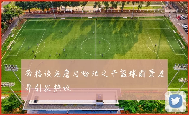 蒂格谈老詹与哈珀之子篮球前景差异引发热议
