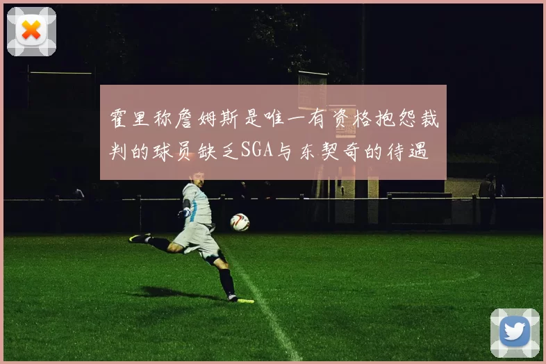 霍里称詹姆斯是唯一有资格抱怨裁判的球员缺乏SGA与东契奇的待遇