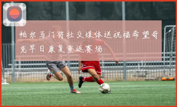 帕尔马门将社交媒体送祝福希望奇克早日康复重返赛场